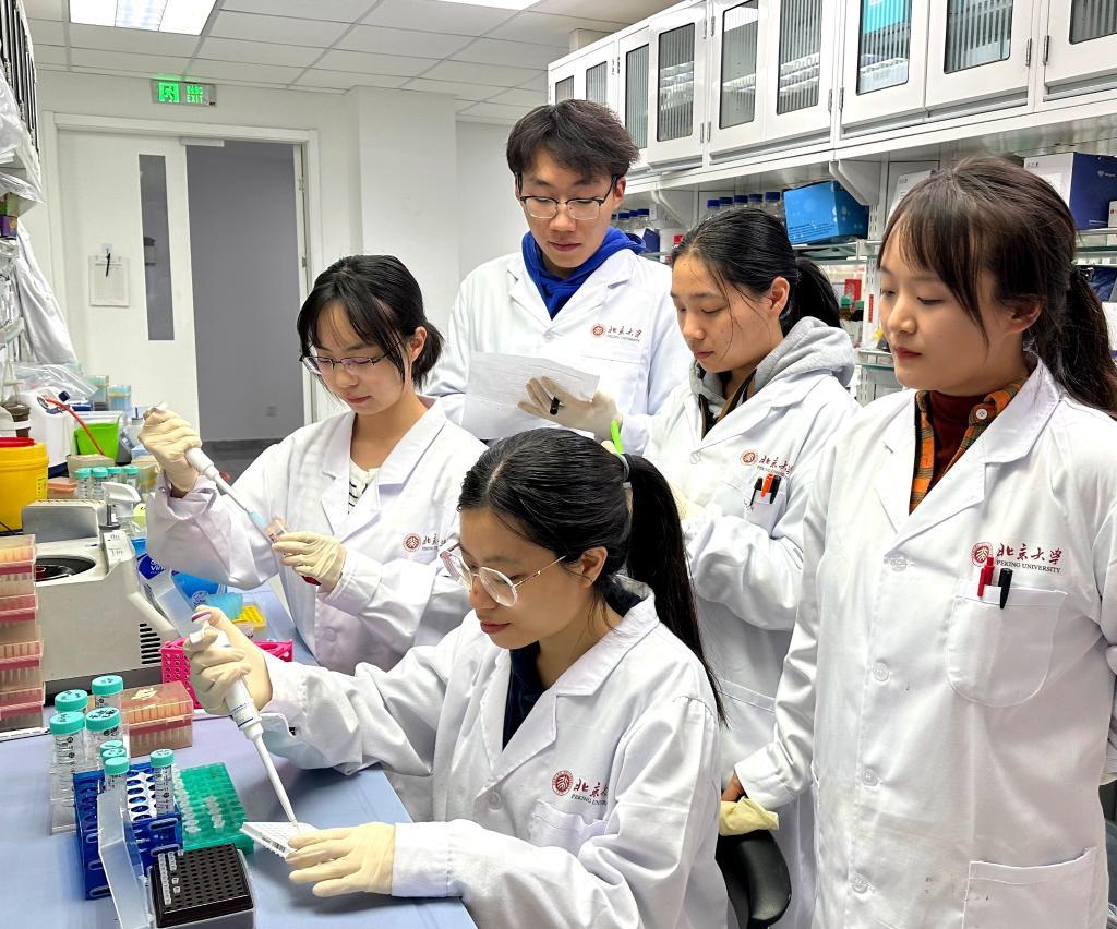 Research team analyzing samples in life-science laboratory